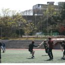 감포초등학교 이미지