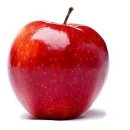 바른개 생활 이미지