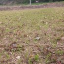 서린농장 이미지