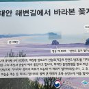 꽃지해안공원 이미지