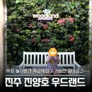 한일우드 앞 횡단보도 | 아이랑 가기 좋은 진주 실내 놀거리와 체험시설, 진양호 우드랜드 방문 후기