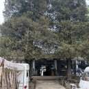 강화캠핑파크 | 분위기 있는 카라반에서의 하루 (캠크닉, 글램핑 가능)