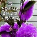 대천경로당 이미지