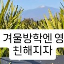 봉방스크린 이미지