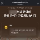 전생에인연펫 | 반려동물의 속마음을 알 수 있다?! |용용사주 펫궁합, 반려동물 사주 솔직후기,가격대