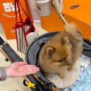 구십오도씨 이미지
