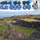 오현고등학교 | 곤을동 4.3 유적지 화북동 잃어버린 마을 후기