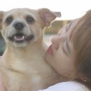 하은농장2 이미지