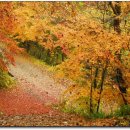 안영IC주유소 이미지