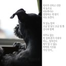창문사 이미지