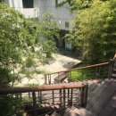 국세청매점