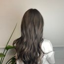 살롱드코라 이미지