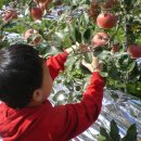 신남어린이집 이미지