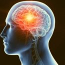 사이다 짐 이미지