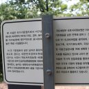 조*봉 이미지