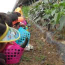 세원농장 이미지