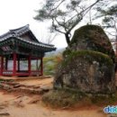 무릉도원면-39 이미지