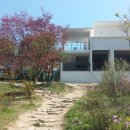 간디고등학교 이미지