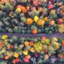 행정사 정귀영사무소 이미지