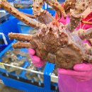 공주수산 이미지