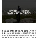 화성병점 인셀덤