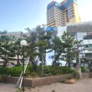 (주)수목조경 이미지