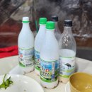 순천-61호 이미지