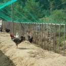 푸른알 영농조합법인 이미지