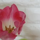 신선축산 이미지