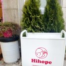 하이홉(hihope) 이미지