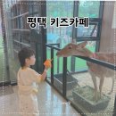 애니멀클럽 | 평택키즈카페 추천 동물 체험까지 가능한 애니멀클럽 후기