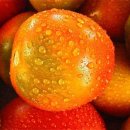 대구농특산물유통 주식회사 이미지