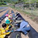 통영시 농업기술센터 이미지