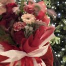 가마치통닭장학점 | 대학교 졸업 후기~!(근황, 노량진수산시장 가지 마, 생일 주간,청라 일상 등등)