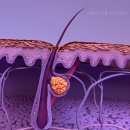 비에이랩의원 이미지