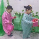 다민농장 이미지