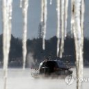 남이섬설1 이미지