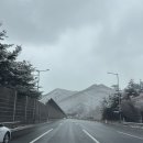 시흥 신세계 프리미엄 아울렛 맛집 소이연남, 온기정 내돈내산 후기