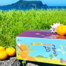 제주하우스 이미지