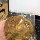 새현대세탁소 | 강릉 표류기 2025년 11월 첫째주 이야기