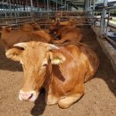 우리소농장 이미지