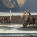 해남동물나라 이미지