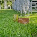 벨라(Bella) 이미지