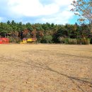 황방산생태야영장 이미지