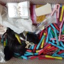 장 이용소 이미지