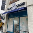 제로네 펫쌀롱 | [마산 중앙동 반려동물미용] 우리동네 애견미용 푸들 미용 잘하는 &#34;펫살롱지니&#34; 내돈내산