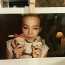 홍대찜닭 이미지