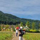 두 Y자(주말) 이미지