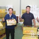 공검농업협동조합 이미지