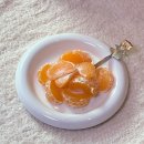 영재농장 | 과즙 듬뿍 저농약 제주감귤 &lt; 이귤이귤 &gt; 택배 배송 찐 후기!